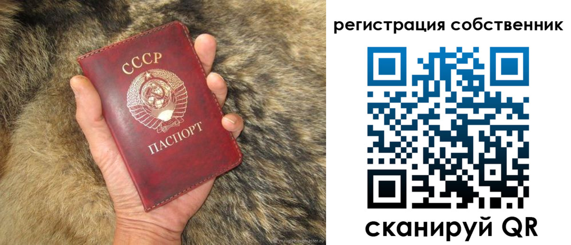 прописка 2025 в Салавате